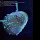 Illustration for article titled The LHC Just Shattered Its Previous Record For Energy Output